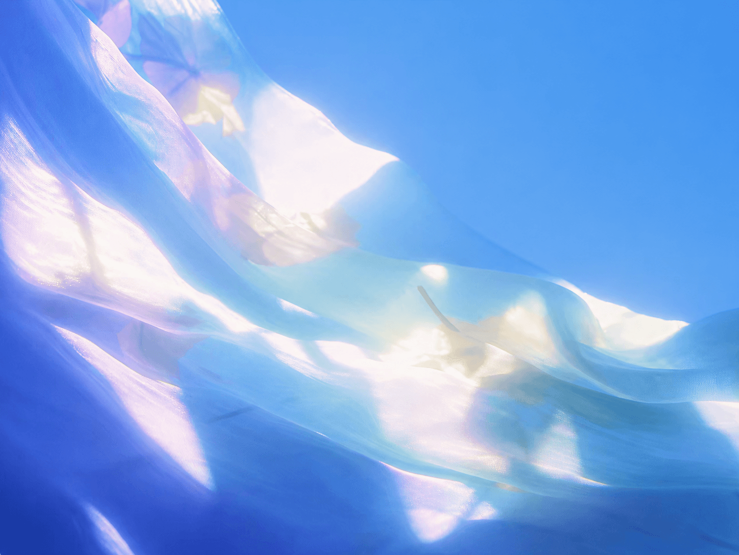 Ontology layer with structured outputs